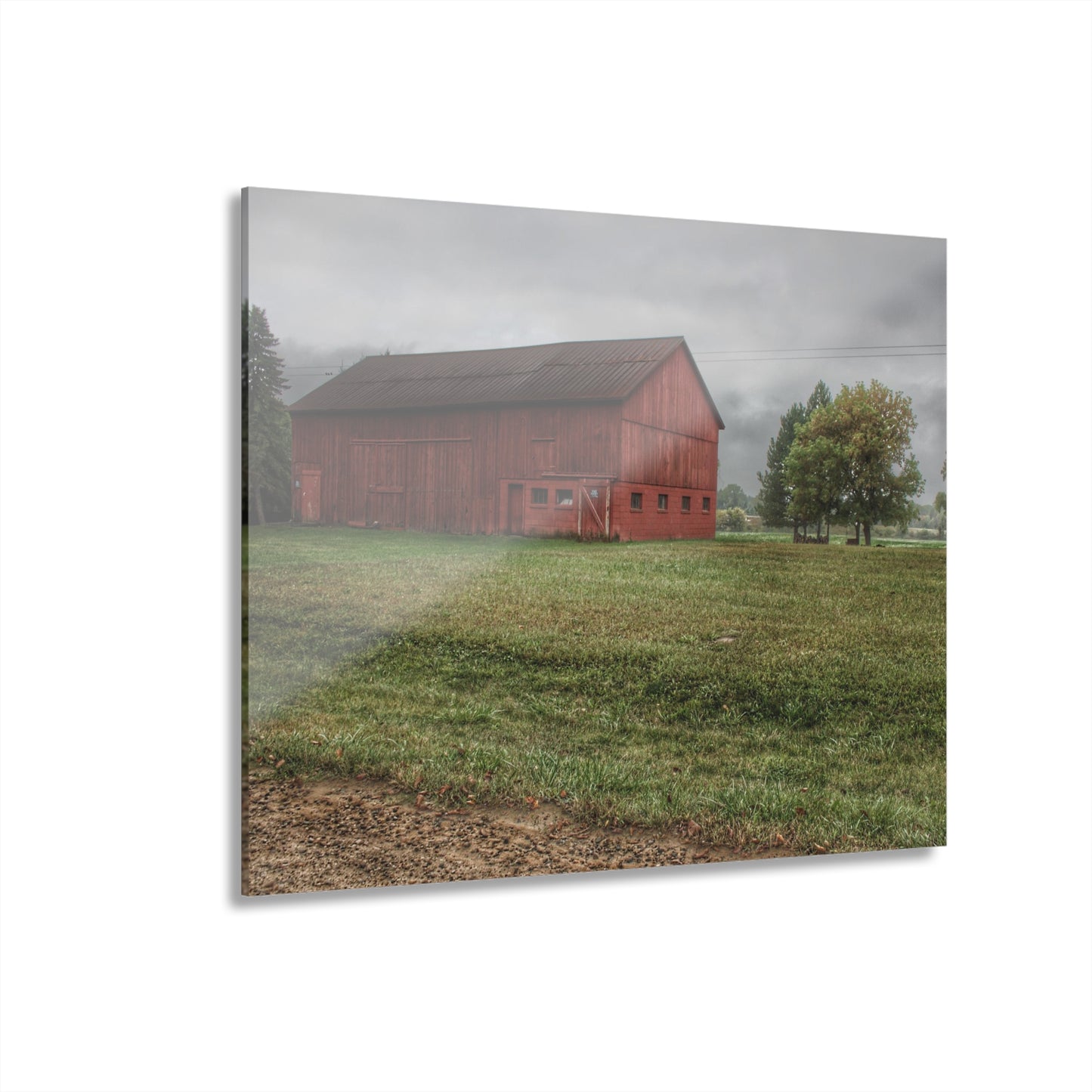 U R There Photography Birch Road Red Rustic Farmhouse Acrylic Wall Print