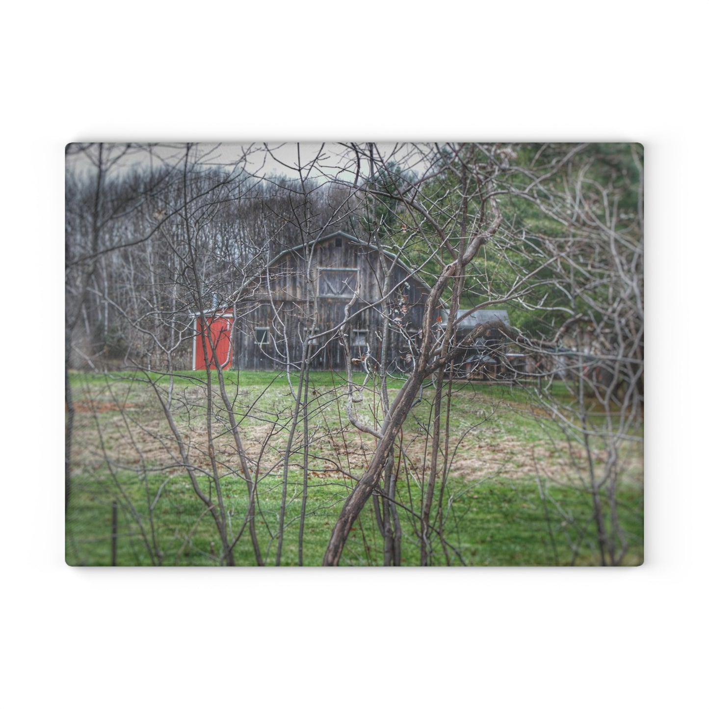 U R There Photography Hidden Capac Grey Rustic Farmhouse Tempered-Glass Cutting Board