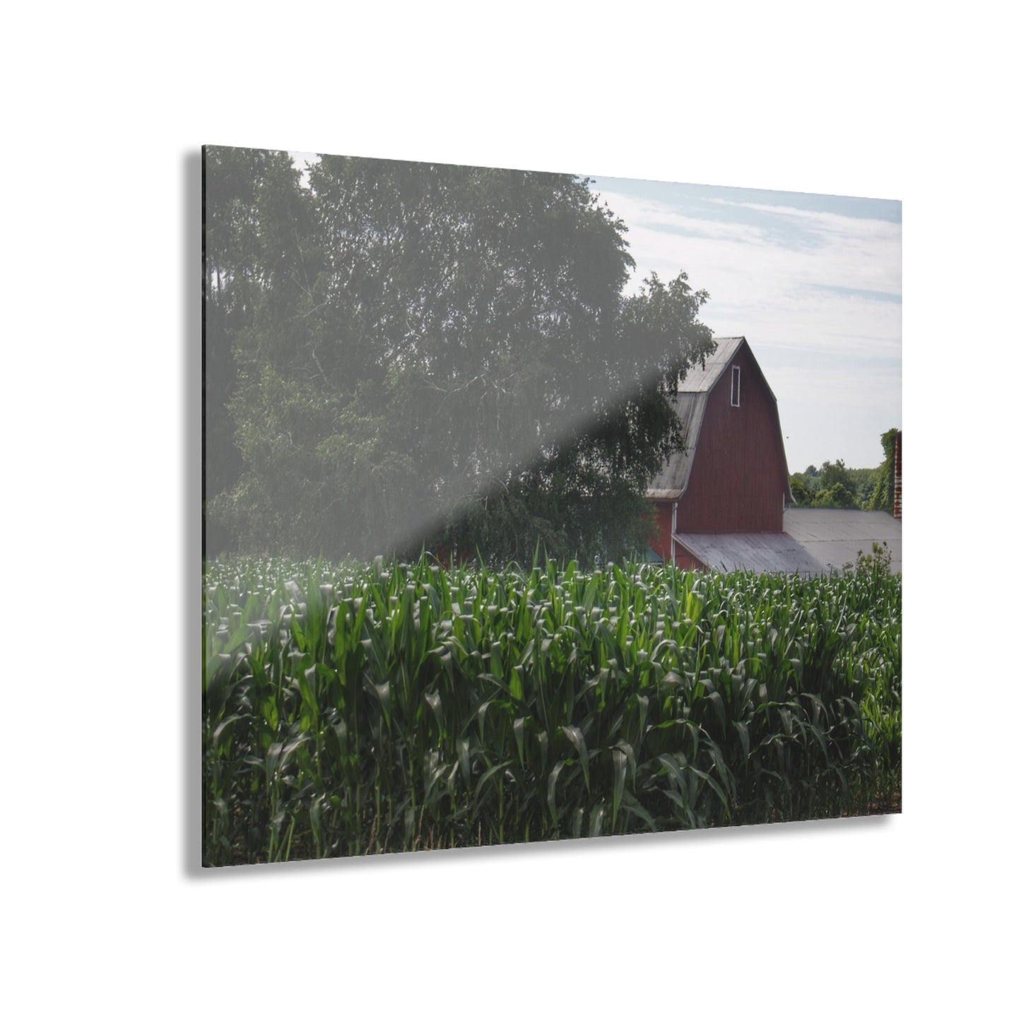 U R There Photography Above the Corn on Piersonville Road III Rustic Farmhouse Acrylic Wall Print