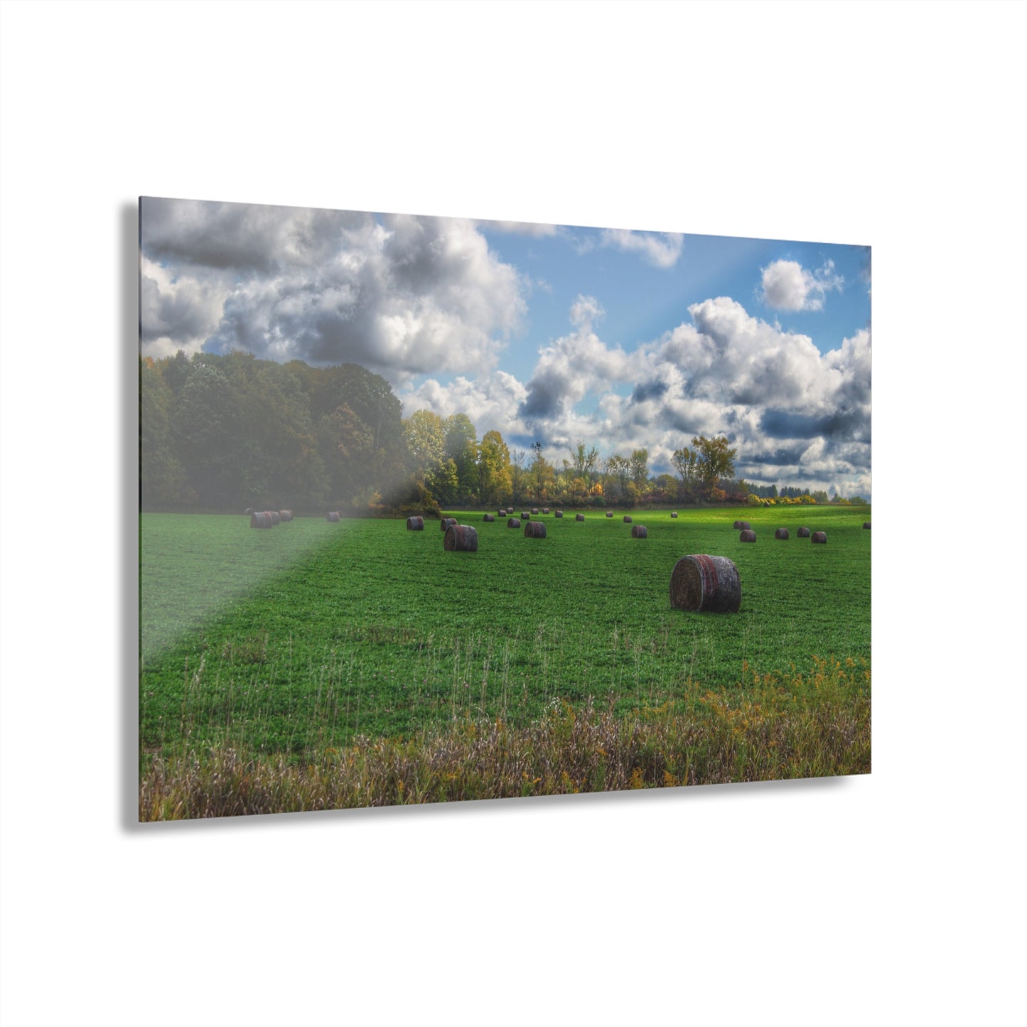 U R There Photography Haybale Heaven 2020 Rustic Farmhouse Acrylic Wall Print