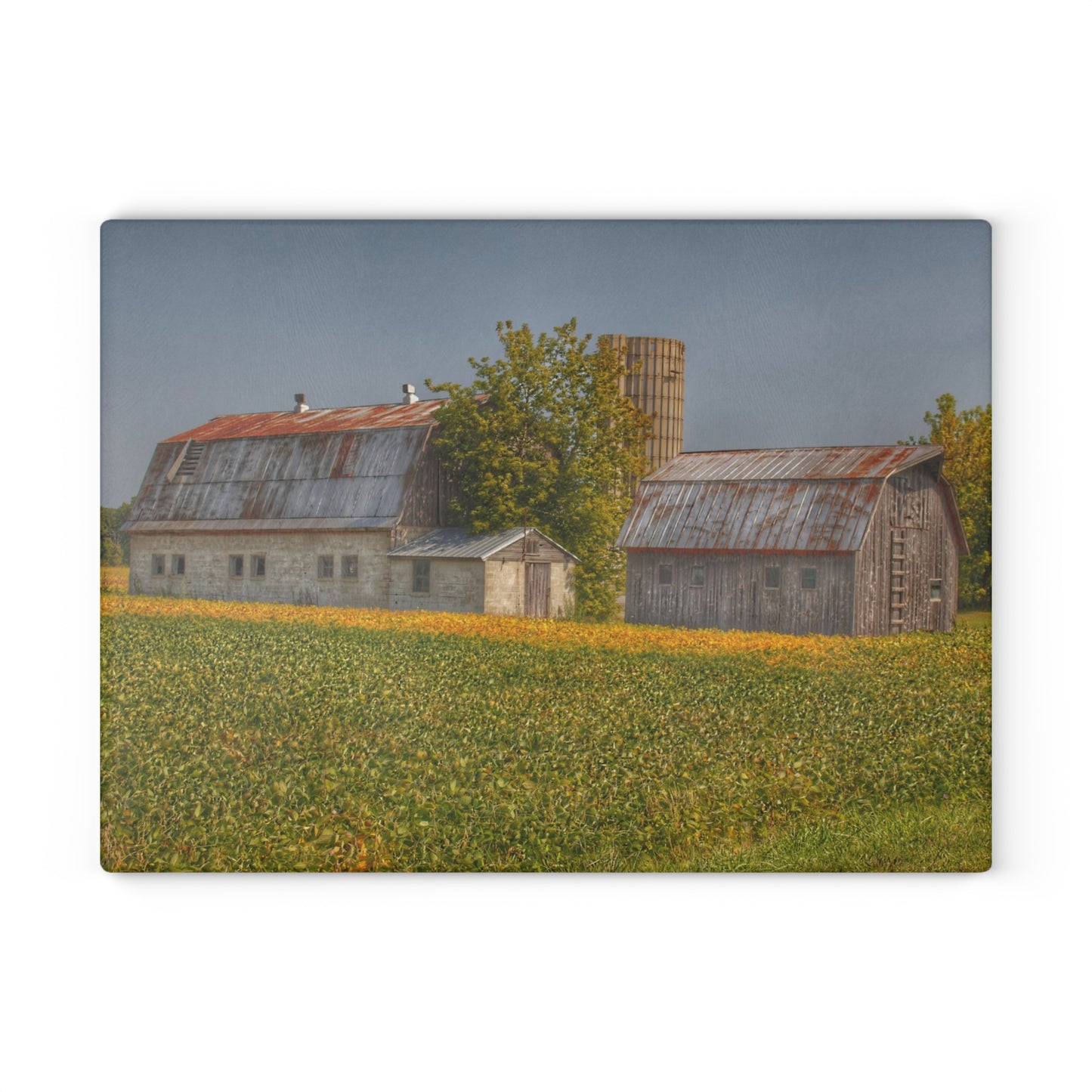U R There Photography Swaffer Road Duo Rustic Farmhouse Tempered-Glass Cutting Board