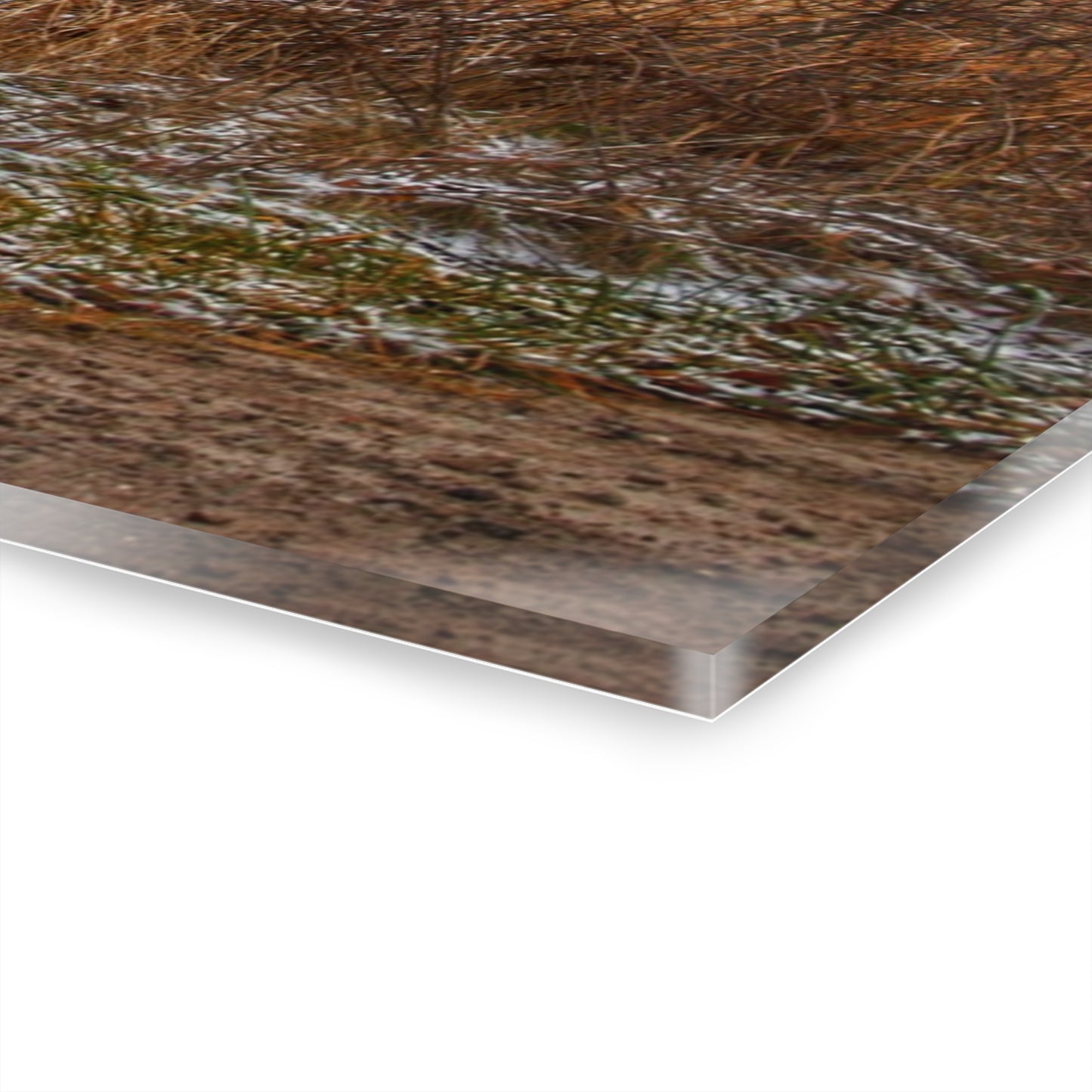 U R There Photography Hough Road Reds Rustic Farmhouse Acrylic Wall Print