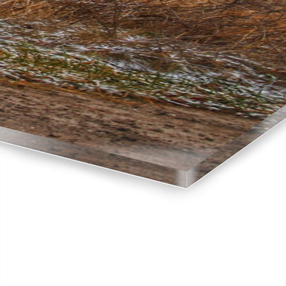 U R There Photography Hough Road Reds Rustic Farmhouse Acrylic Wall Print