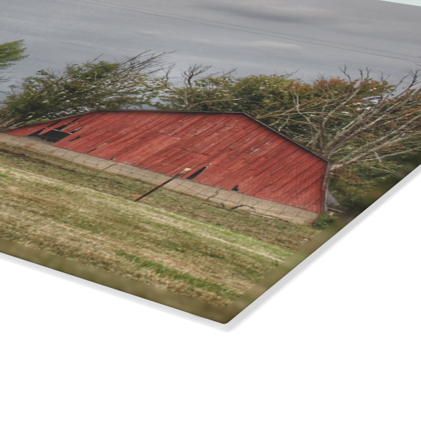 U R There Photography Petz Road Farm Rustic Farmhouse Tempered-Glass Cutting Board