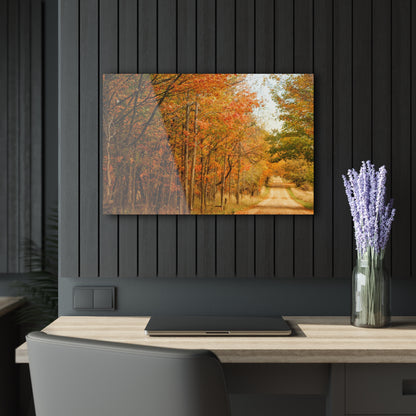 Barn Boutique Modern Farmhouse Acrylic Wall Print| Murphy Lake Road in the Fall I