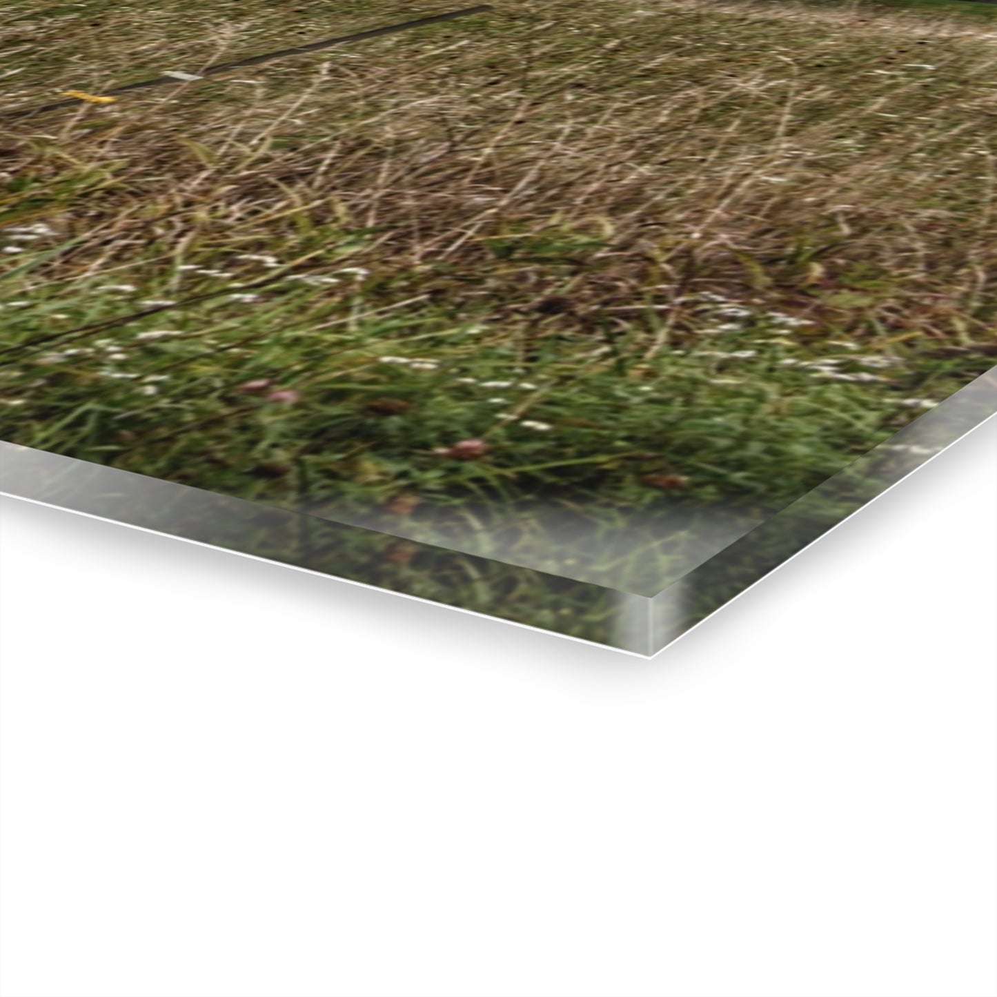 U R There Photography North Lake Road Red I Rustic Farmhouse Acrylic Wall Print