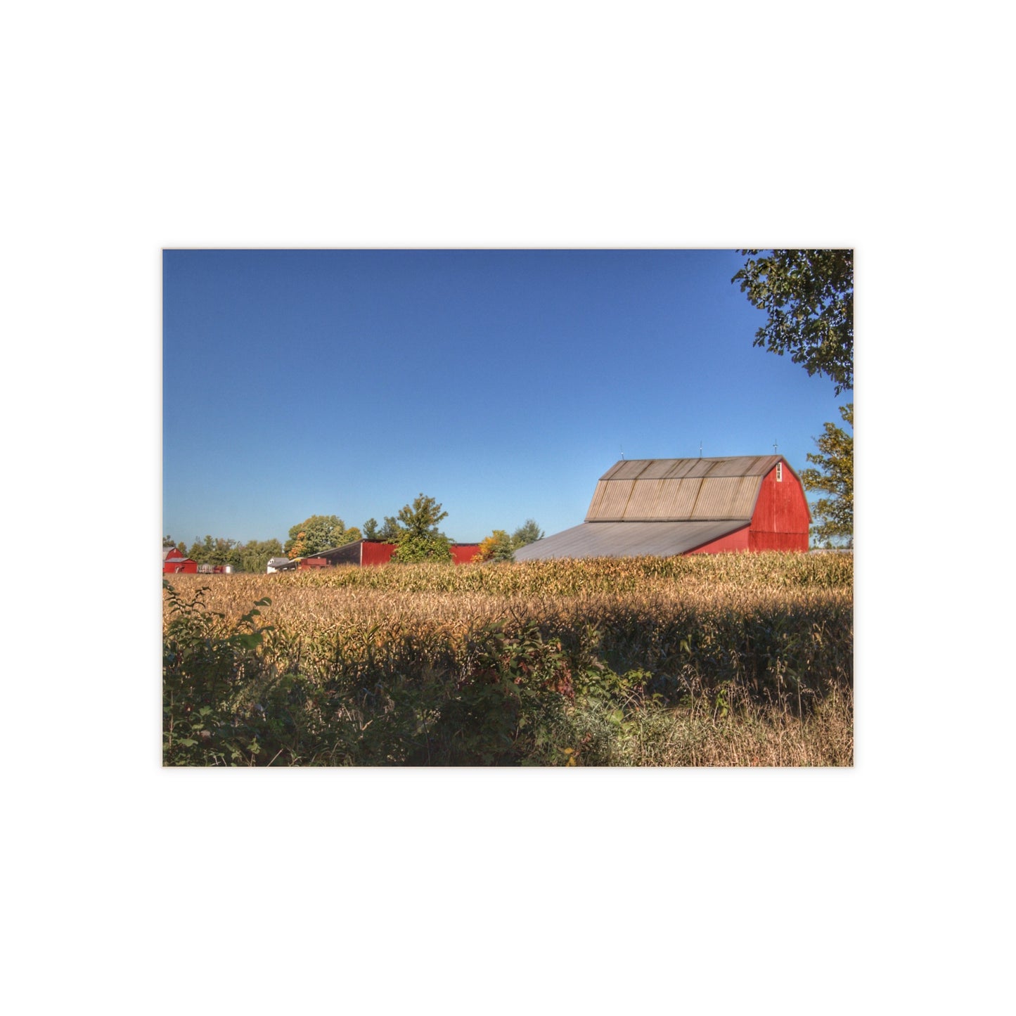 Barn Boutique Rustic Ceramic Wall Tile| Red Saltbox Barn