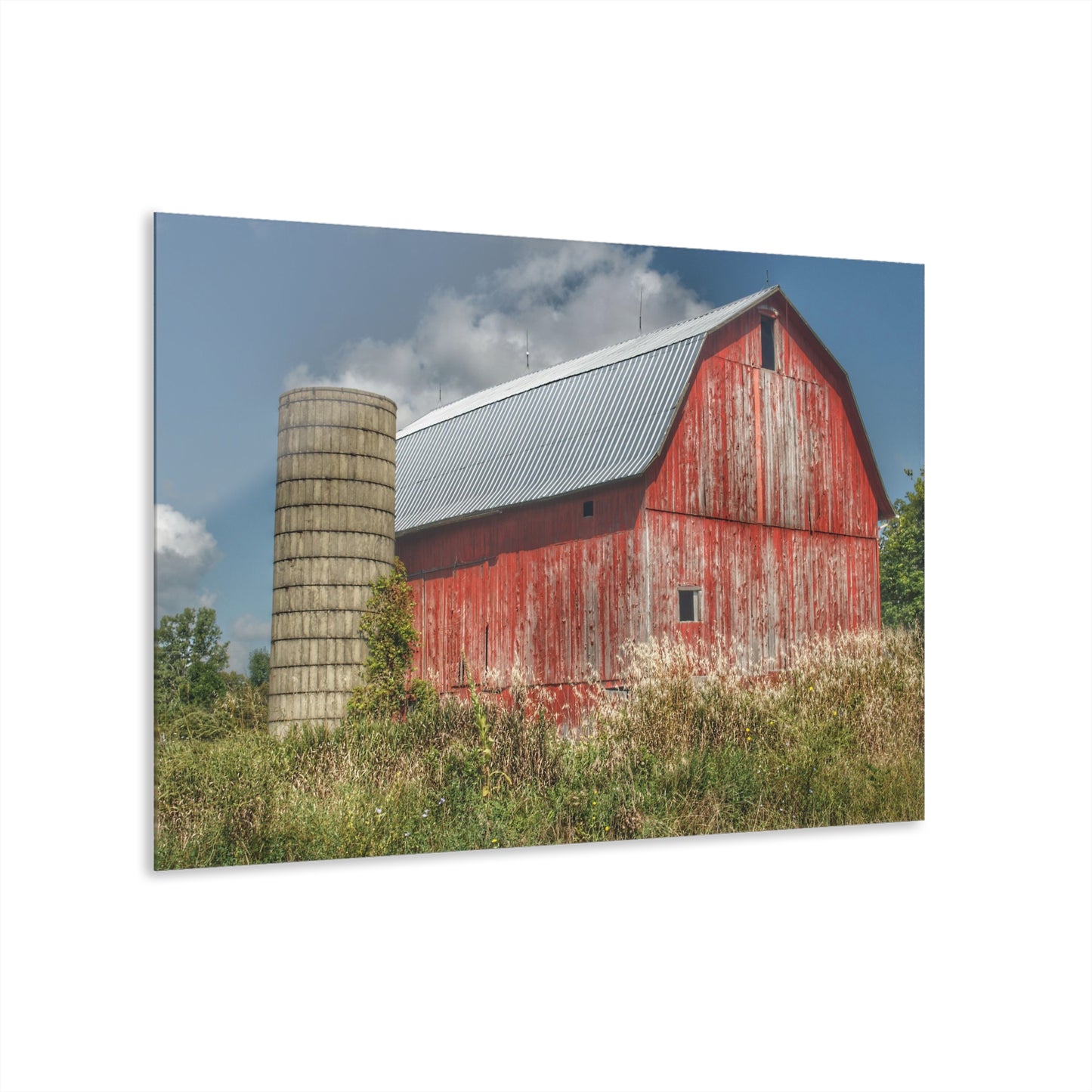 U R There Photography Columbiaville Red in Summer II Rustic Farmhouse Acrylic Wall Print
