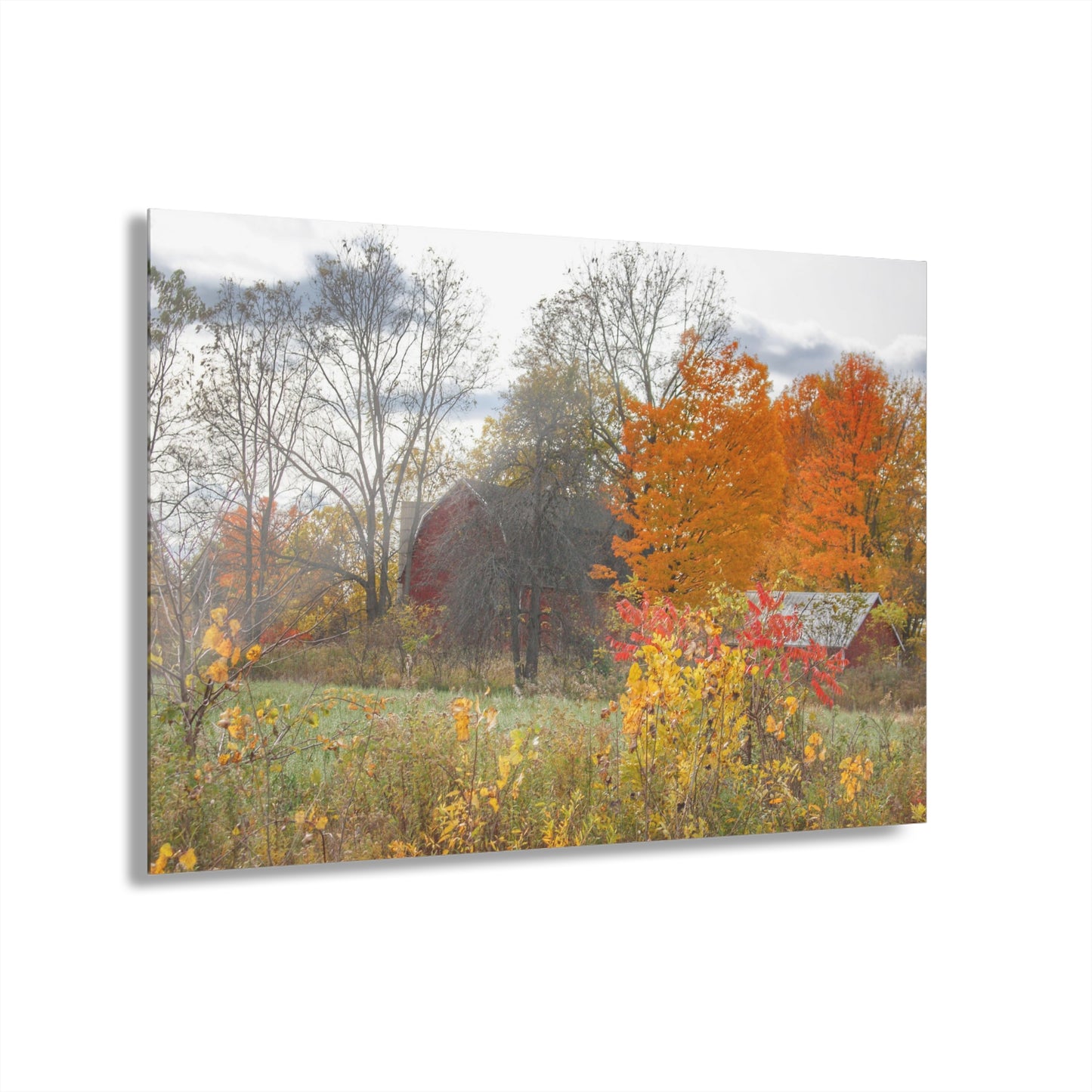 U R There Photography Bowers Hidden Red Rustic Farmhouse Acrylic Wall Print