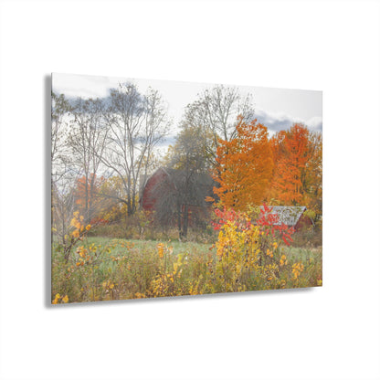 U R There Photography Bowers Hidden Red Rustic Farmhouse Acrylic Wall Print