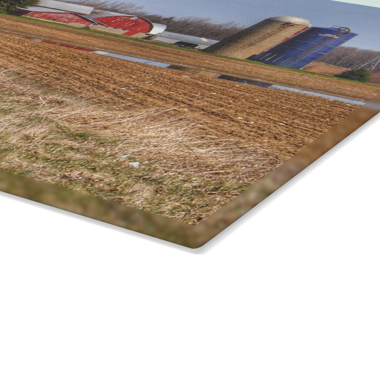 U R There Photography M-24 Northern Reds Farm Rustic Farmhouse Tempered-Glass Cutting Board