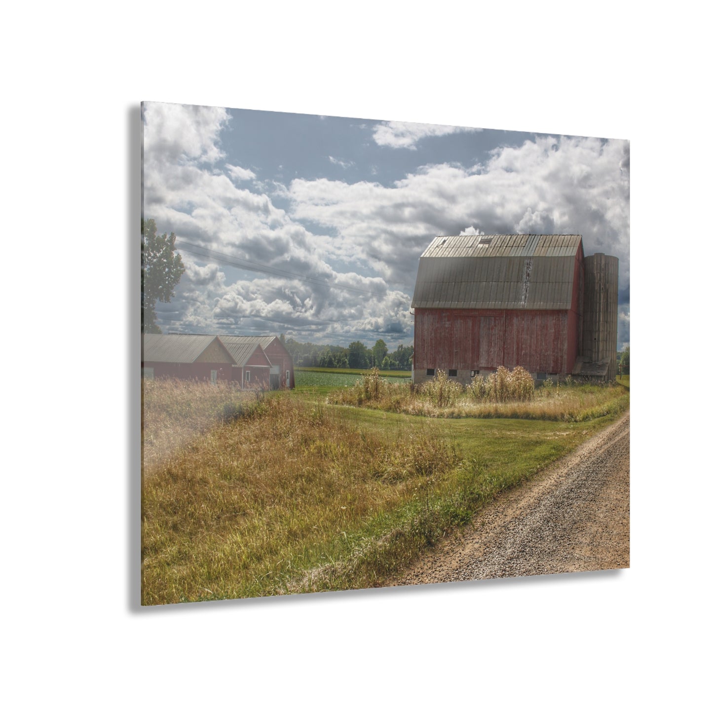 U R There Photography Haines Road Reds Rustic Farmhouse Acrylic Wall Print