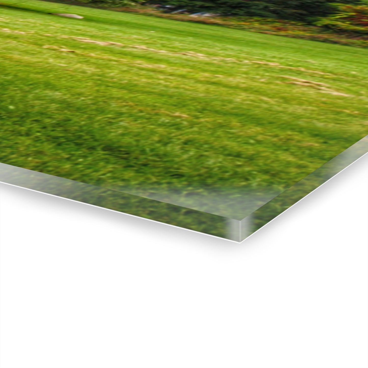 U R There Photography Hidden Past Rustic Farmhouse Acrylic Wall Print