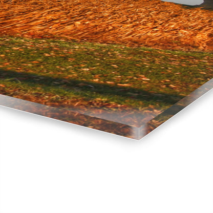 U R There Photography Lake Pleasant Reds I Rustic Farmhouse Acrylic Wall Print