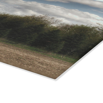 U R There Photography Sandusky Grey in the Pines Rustic Farmhouse Tempered-Glass Cutting Board