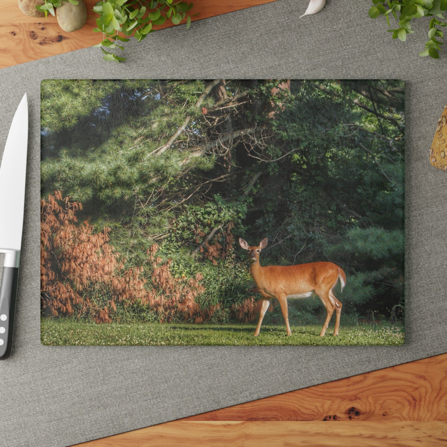U R There Photography Mitchell Road Doe Rustic Farmhouse Tempered-Glass Cutting Board
