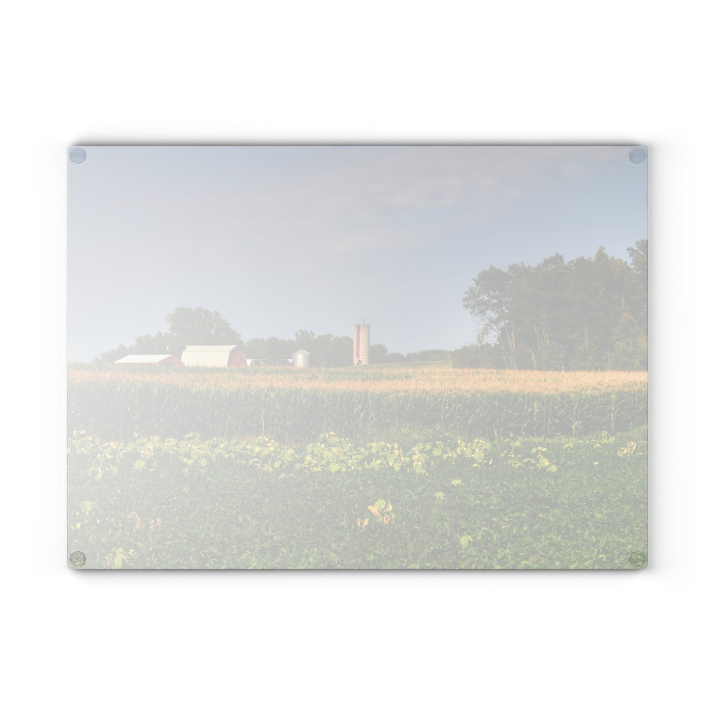 U R There Photography Across the Field in Clifford  Rustic Farmhouse Tempered-Glass Cutting Board