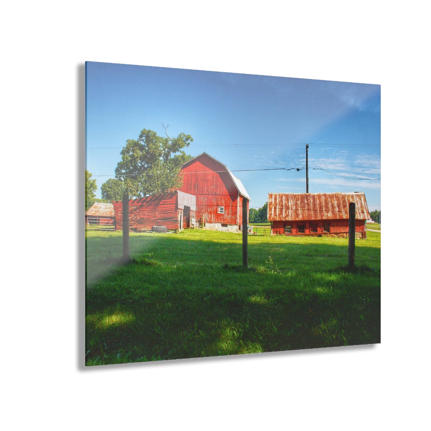 U R There Photography Frances Road Reds II Rustic Farmhouse Acrylic Wall Print
