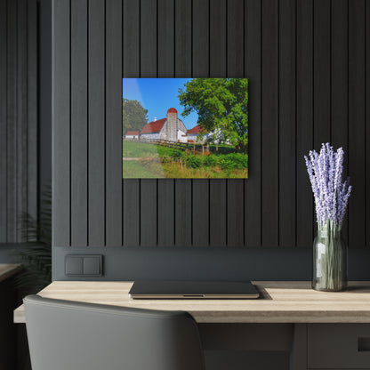 U R There Photography Vienna Roadside White Rustic Farmhouse Acrylic Wall Print