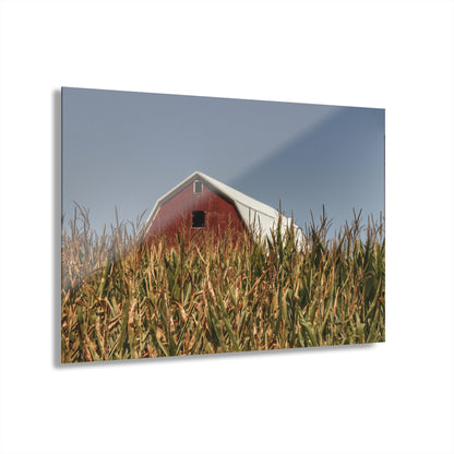Beyond the Corn Rustic Farmhouse Acrylic Wall Print