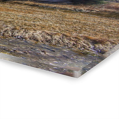 U R There Photography Covered Bridge of Campground Road I Rustic Farmhouse Acrylic Wall Print