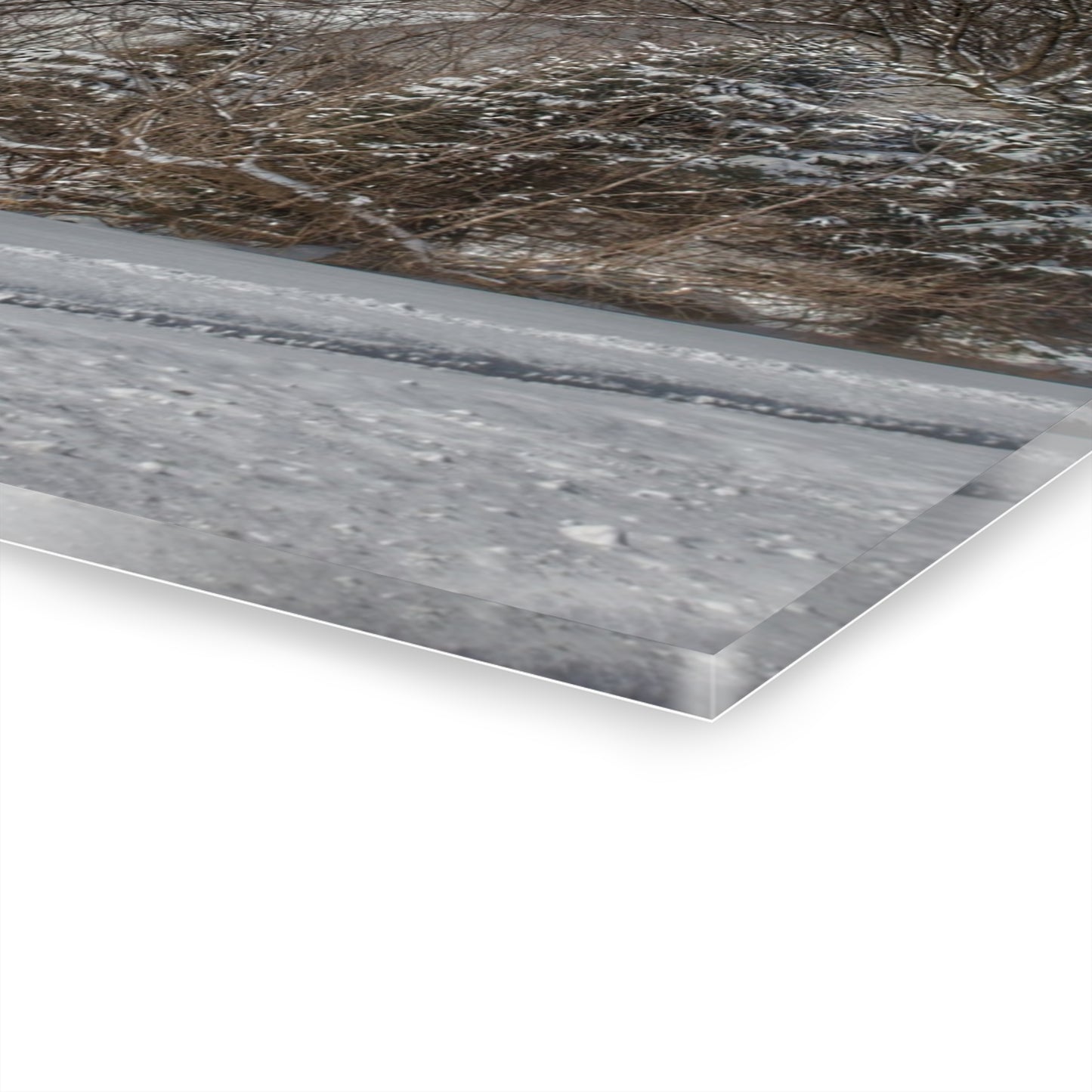 U R There Photography Hidden in Oxford II Rustic Farmhouse Acrylic Wall Print