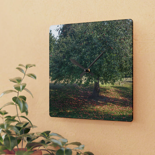 U R There Photography Apple Tree and Apples Rustic Farmhouse Acrylic Analog Wall Clock