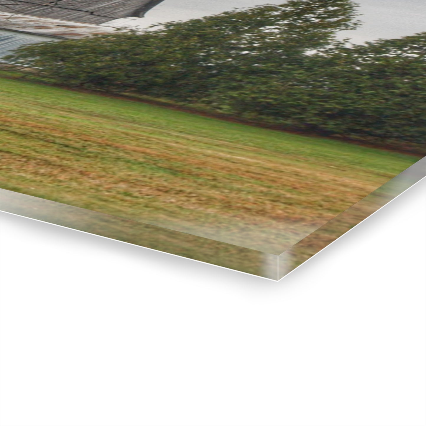 U R There Photography Eddy Road Grey I Rustic Farmhouse Acrylic Wall Print 14 "x 11"