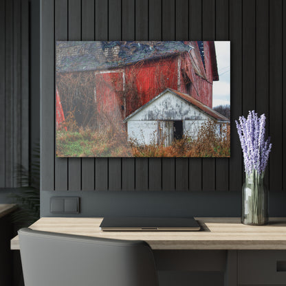 U R There Photography German Road Forgotten Red II Rustic Farmhouse Acrylic Wall Print