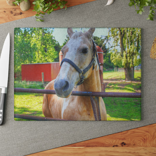 U R There Photography White Cream Mare of Hollenbeck Rustic Farmhouse Tempered-Glass Cutting Board
