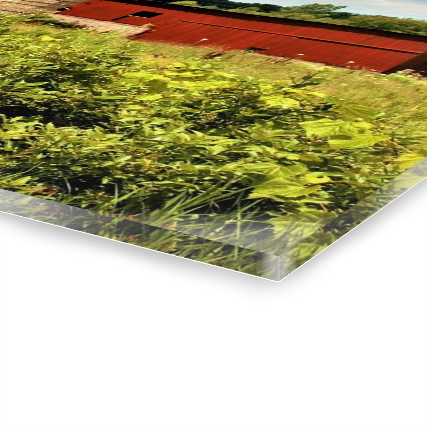 U R There Photography Elmwood Road Red and Horses Rustic Farmhouse Acrylic Wall Print