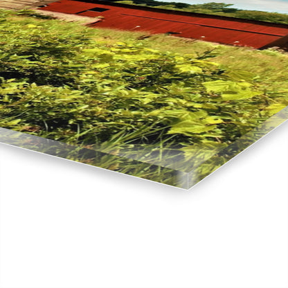 U R There Photography Elmwood Road Red and Horses Rustic Farmhouse Acrylic Wall Print