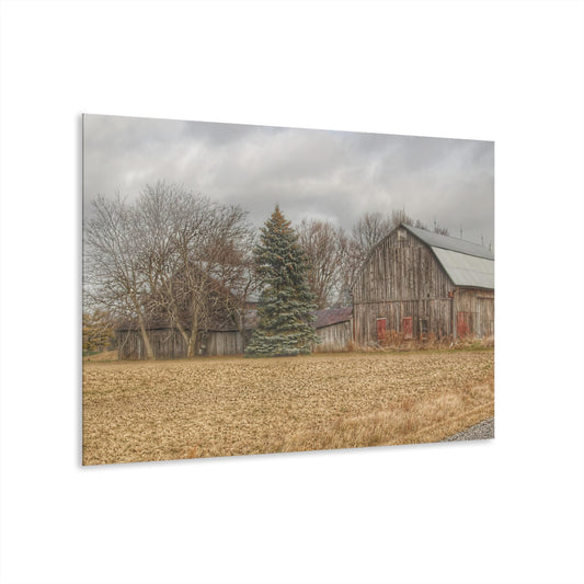 U R There Photography Frankenmuth Flint Street Farm Rustic Farmhouse Acrylic Wall Print