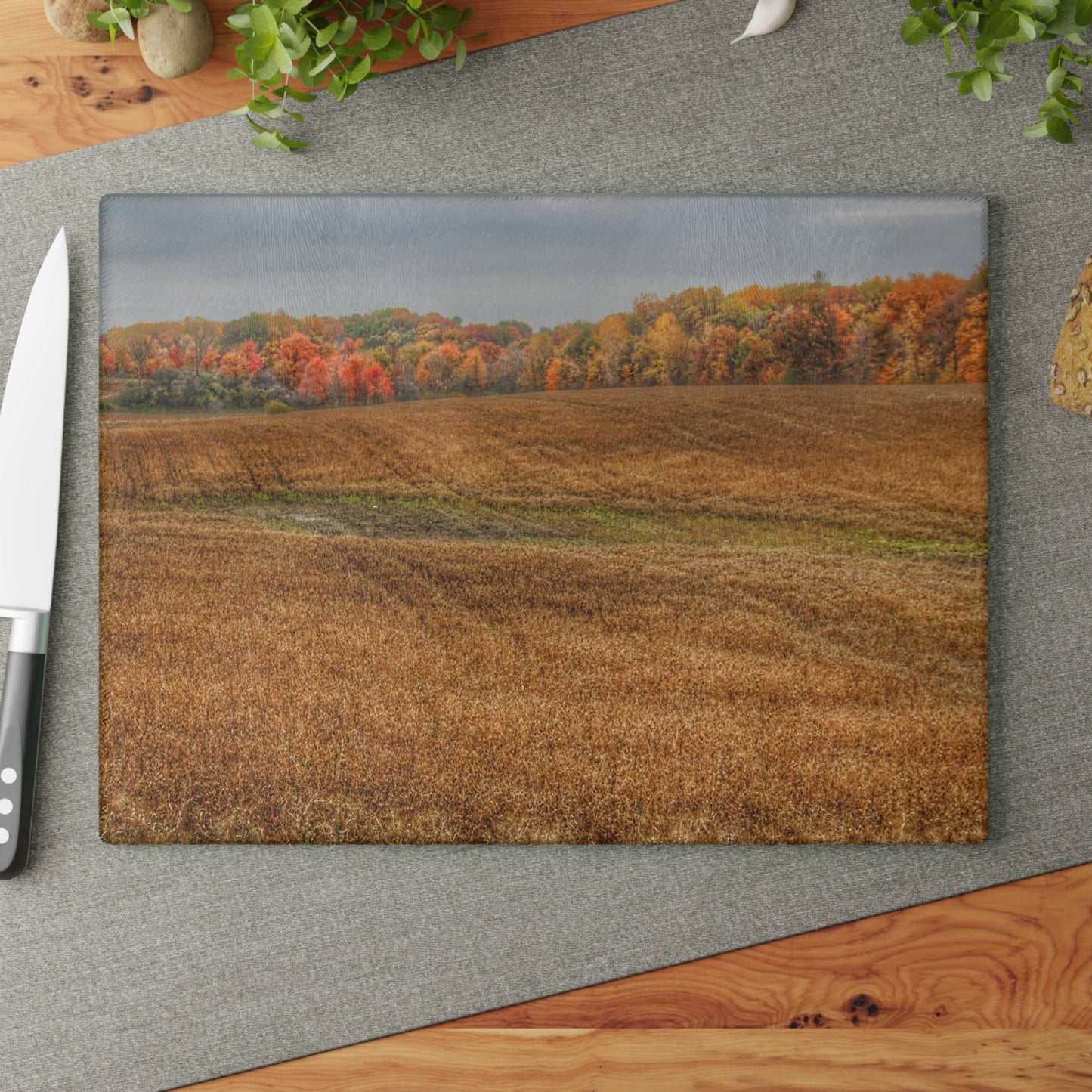 U R There Photography Colors of Fall on Lippincott Road Rustic Farmhouse Tempered-Glass Cutting Board