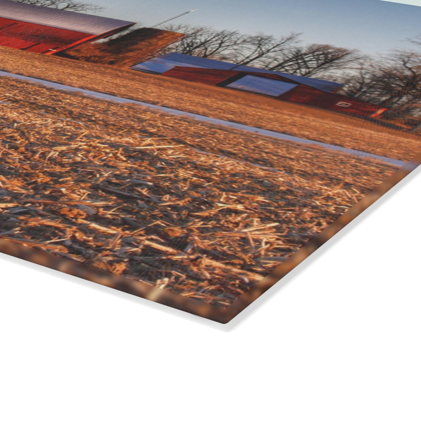 U R There Photography Early Spring on Catlin Road Rustic Farmhouse Tempered-Glass Cutting Board