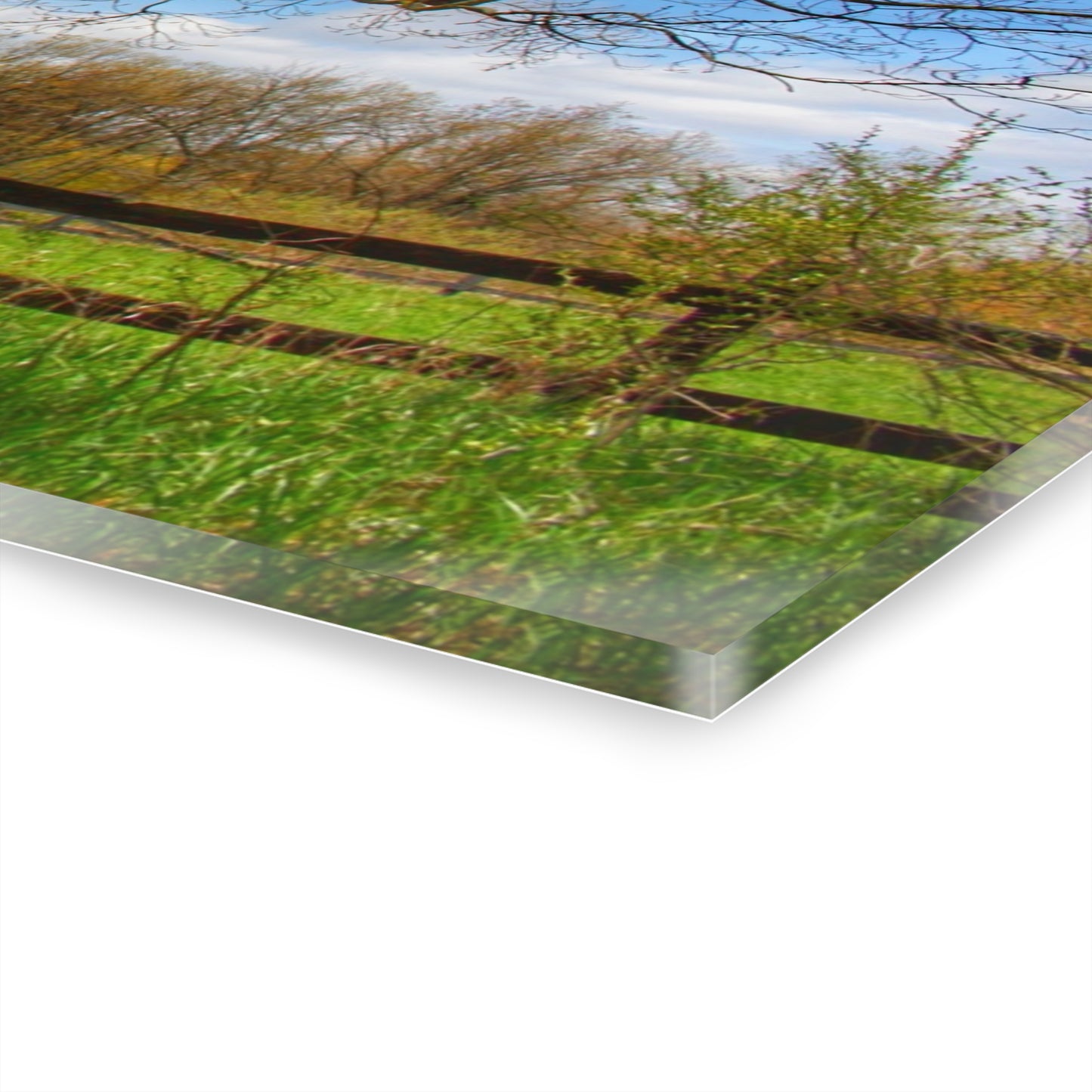 U R There Photography Delano Oak and Little Red Rustic Farmhouse Acrylic Wall Print