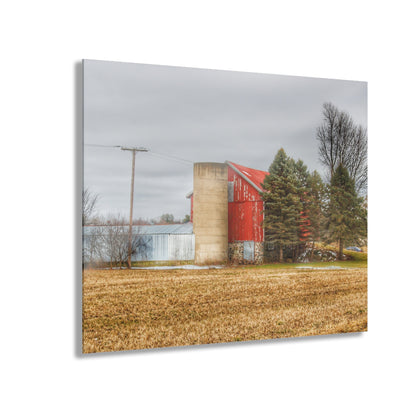 U R There Photography Laur Road Red Among the Pines I Rustic Farmhouse Acrylic Wall Print