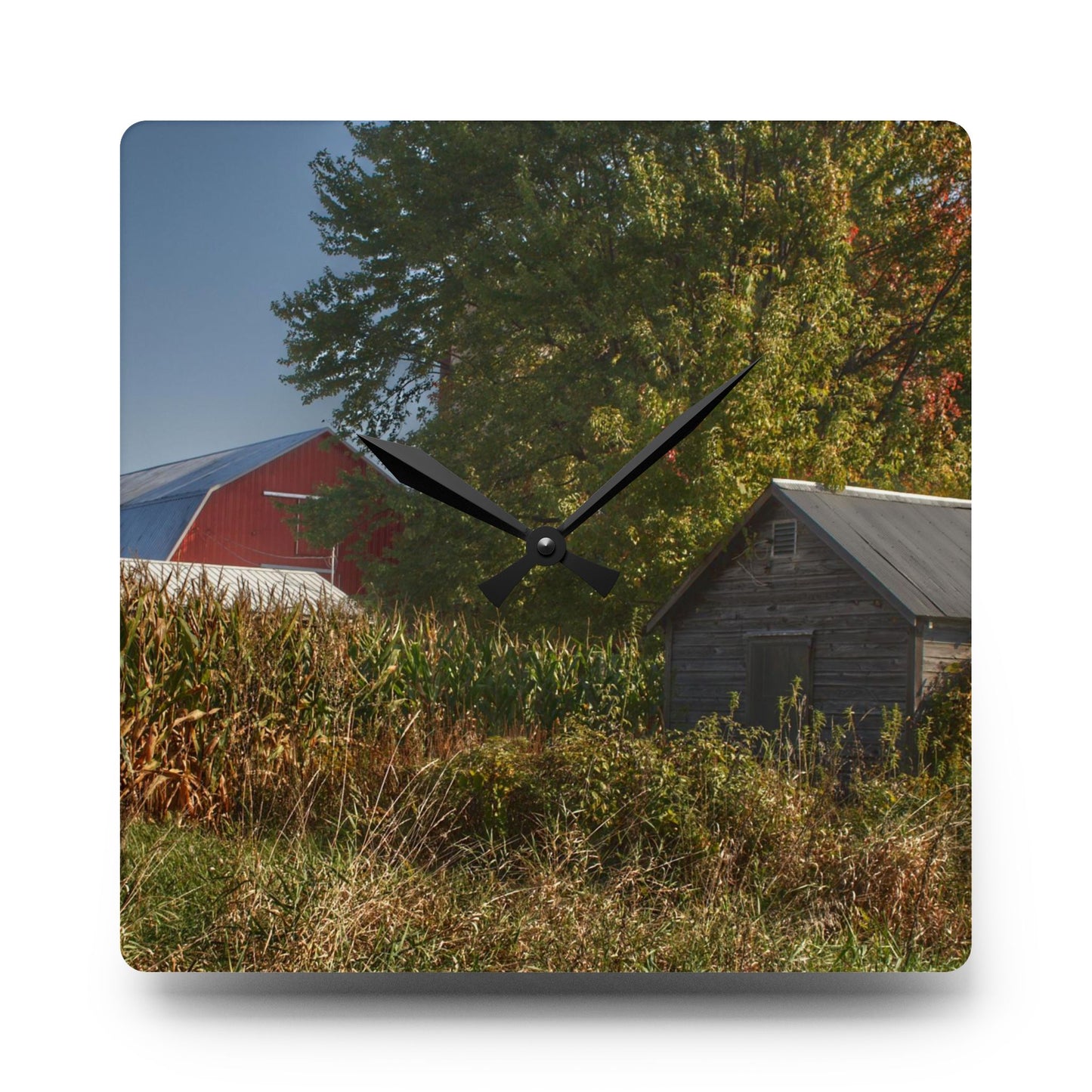 U R There Photography Barnes Road Hidden Red and Little Grey Rustic Farmhouse Acrylic Analog Wall Clock