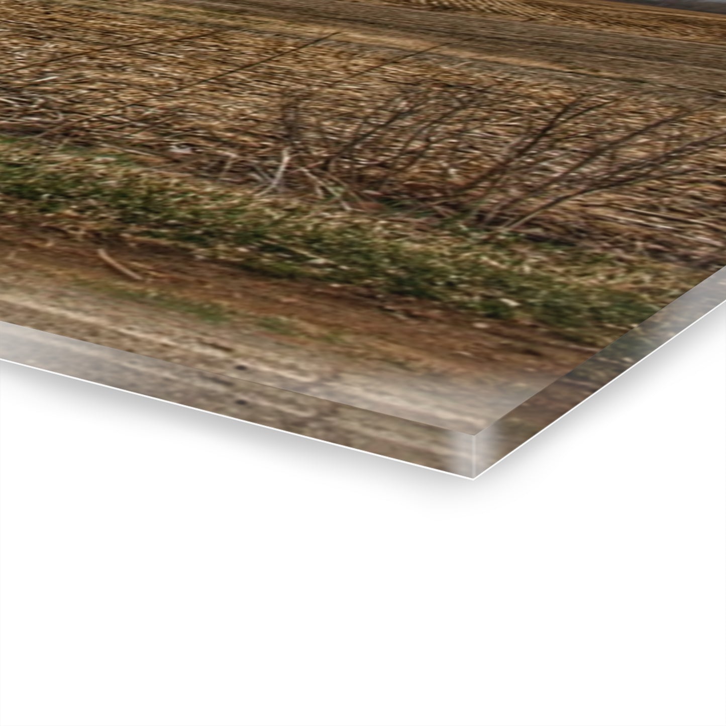 U R There Photography Barnes Road Little Red III Rustic Farmhouse Acrylic Wall Print