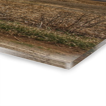 U R There Photography Barnes Road Little Red III Rustic Farmhouse Acrylic Wall Print