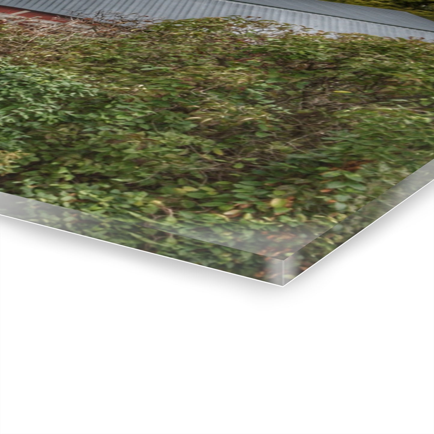 U R There Photography North Clio Road Red Rustic Farmhouse Acrylic Wall Print