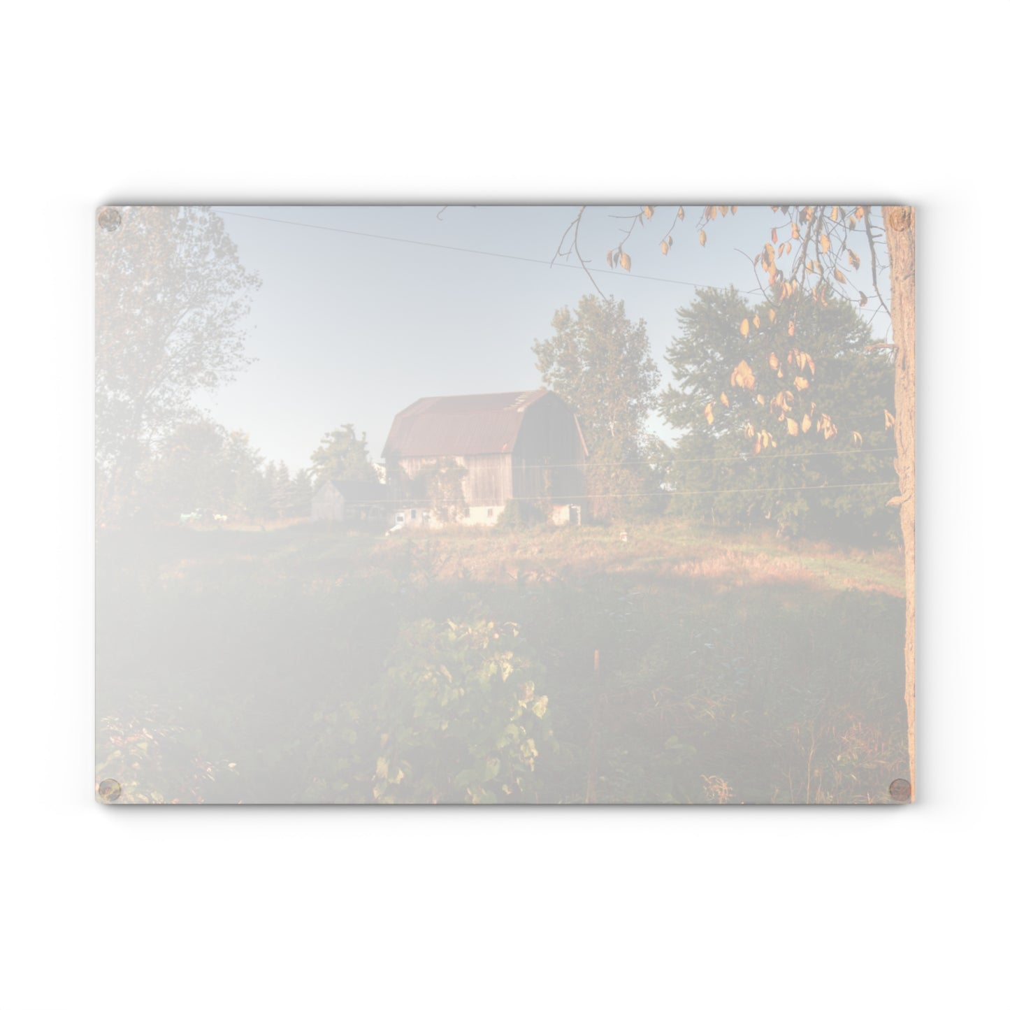 U R There Photography Swaffer Road Little Grey Rustic Farmhouse Tempered-Glass Cutting Board