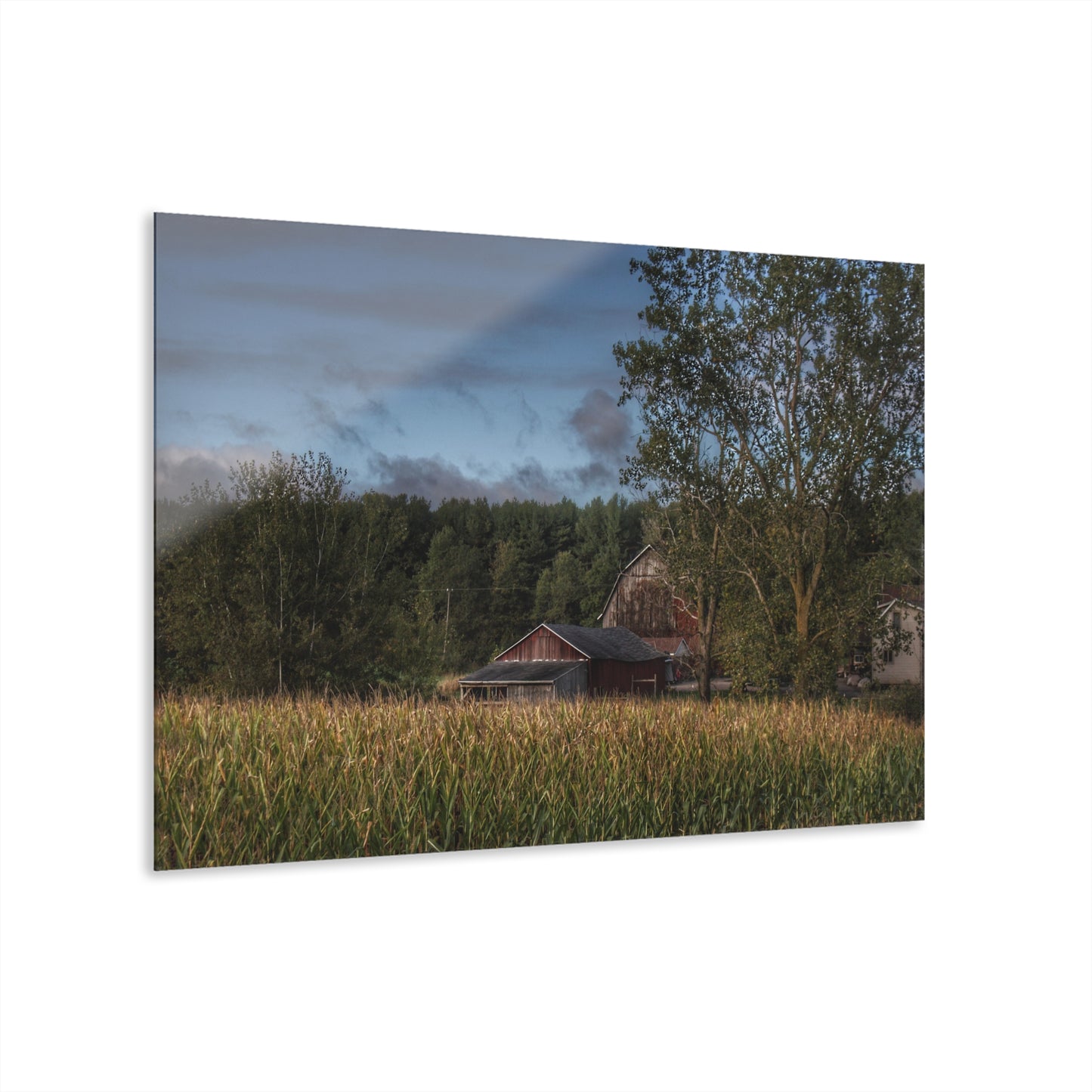 U R There Photography West Oregon Road Hidden Red II Rustic Farmhouse Acrylic Wall Print