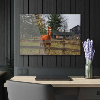 U R There Photography South Summers Road Old Grey and Caramel I Rustic Farmhouse Acrylic Wall Print