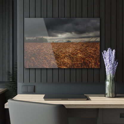 U R There Photography Garner Road Hidden White Rustic Farmhouse Acrylic Wall Print