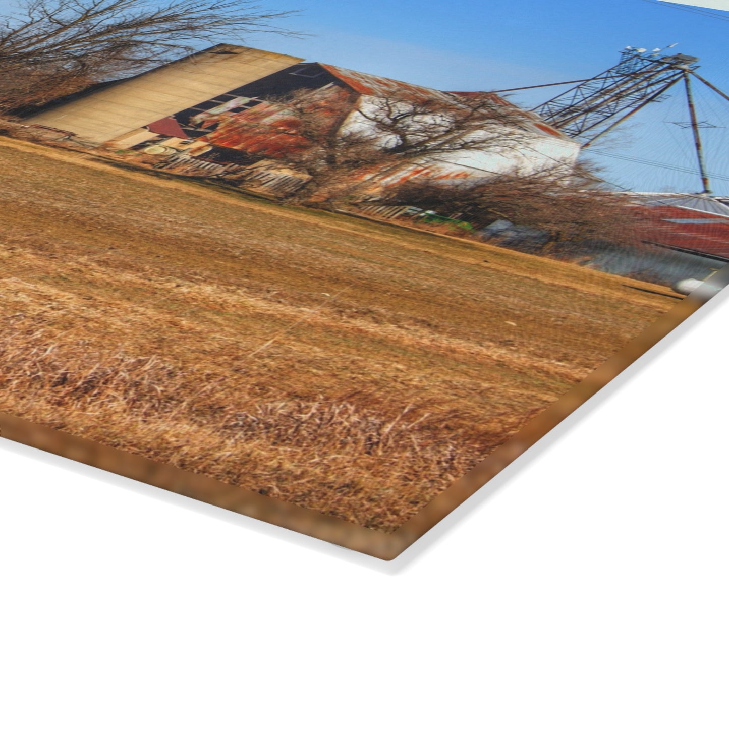 U R There Photography North Cemetery Roads Forgotten Grey Rustic Farmhouse Tempered-Glass Cutting Board