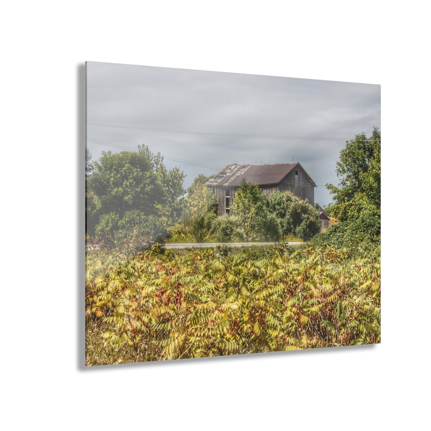 U R There Photography Van Dyke Grey Rustic Farmhouse Acrylic Wall Print