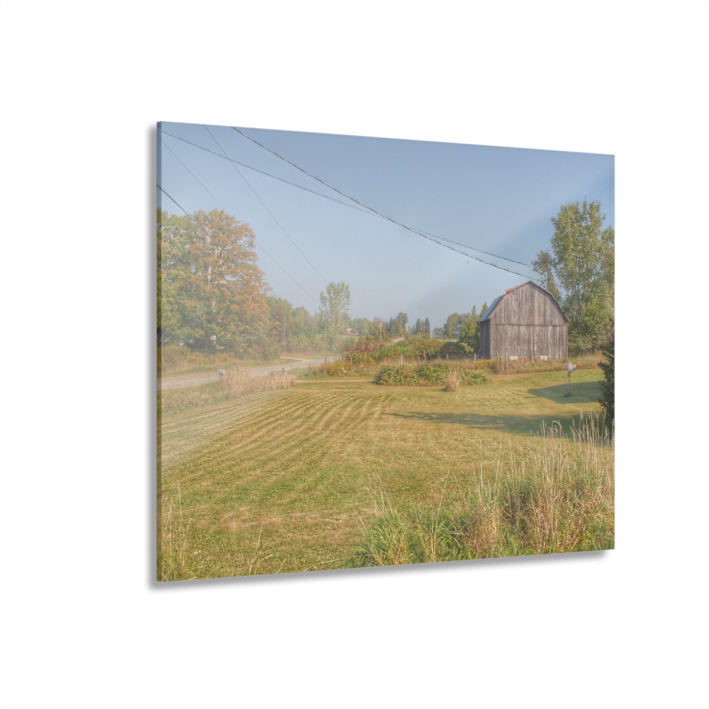 U R There Photography Snover Grey II Rustic Farmhouse Acrylic Wall Print