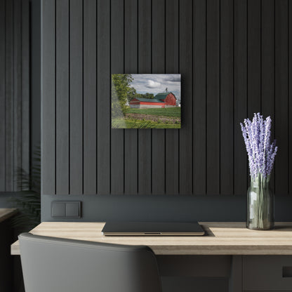 U R There Photography Haines Road Cornfield Reds Rustic Farmhouse Acrylic Wall Print