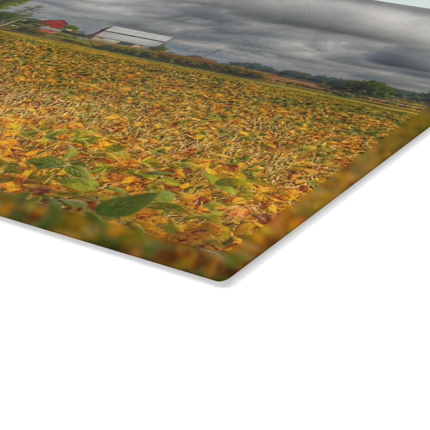 U R There Photography Golden Fields Farm Rustic Farmhouse Tempered-Glass Cutting Board